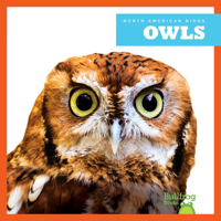 Owls B0CVN2K1ZZ Book Cover
