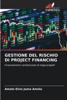 Gestione del Rischio Di Project Financing (Italian Edition) 620982398X Book Cover
