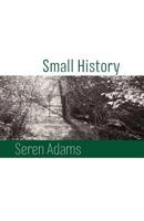 Small History 1848612451 Book Cover