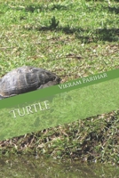 Turtle B09TDT58RN Book Cover