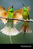 Notebook: Hola Beb�, Sank, Mosca, Animal Cuaderno / Diario / Libro de escritura / Notas - 6 x 9 pulgadas (15.24 x 22.86 cm), 150 p�ginas, superficie brillante. 1707900701 Book Cover