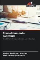 Consolidamento contabile: Consolidamento dei bilanci nelle società cubane decentrate (Italian Edition) 6208813735 Book Cover