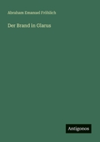 Der Brand in Glarus 3388467439 Book Cover
