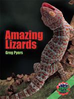 Rigby Literacy Collections Level 3 Phase 1 0731227379 Book Cover