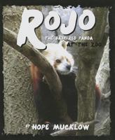 Rojo the Baby Red Panda at the Zoo: An Allegory about Self-Worth Through a Red Panda and Giant Panda Comparison 1620865939 Book Cover