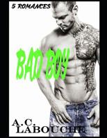 Bad Boy: 22 Stories: M/M, Bi & BBC 1083042920 Book Cover