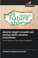 Analisi degli incendi nel bioma della savana brasiliana (Italian Edition) 6209387268 Book Cover