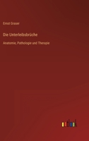 Die Unterleibsbrüche: Anatomie, Pathologie und Therapie 3368602160 Book Cover
