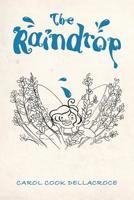 The Raindrop 1684700558 Book Cover