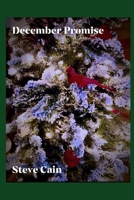December Promise B095LH5BM5 Book Cover