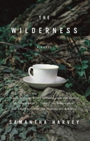 The Wilderness 0385527632 Book Cover