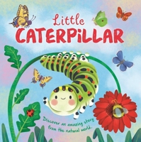 Nature Stories: Little Caterpillar: Padded Board Book 1837716692 Book Cover