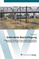 Geförderte Beschäftigung: Umgang mit Ambivalenz bei staatlich geförderten Zeitarbeitsverträgen und Arbeitsgelegenheiten 3639436210 Book Cover