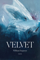 Velvet: Poems 0810147238 Book Cover
