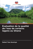 Évaluation de la qualité de l'eau de certains lagons au Ghana (French Edition) 6208506166 Book Cover