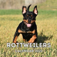 Rottweilers: 2021 Wall Calendar, Cute Gift Idea For Rottweiler Lovers Or Owners Men And Women B08QWTQSQZ Book Cover