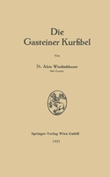 Die Gasteiner Kurfibel 3662241382 Book Cover
