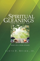 Spiritual Gleanings from Everyday Life: Incidents with a Spiritual Application 0880196270 Book Cover