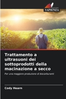 Trattamento a ultrasuoni dei sottoprodotti della macinazione a secco (Italian Edition) 6209948537 Book Cover