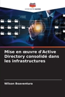 Mise en oeuvre d'Active Directory consolidé dans les infrastructures (French Edition) 6207792866 Book Cover