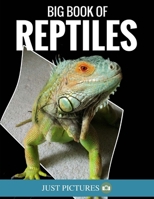 Big Book of Reptiles: Just Pictures! 1533127662 Book Cover