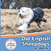 Old English Sheepdogs at Work 1532455364 Book Cover