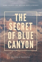 The Secret of Blue Canyon: The Blue Canyon Series: Book 2 B08DBJNVH8 Book Cover
