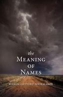 The Meaning of Names 1597099597 Book Cover
