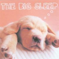 The Big Sleep 184601137X Book Cover