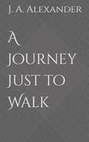 A Journey Just to Walk B0931X1M9Q Book Cover