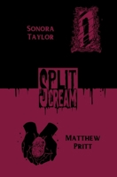 Split Scream Volume Eight: Cursed Places 1959790617 Book Cover