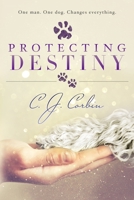 Protecting Destiny 1542730066 Book Cover