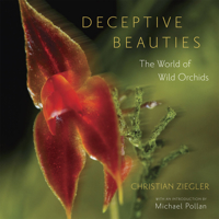 Deceptive Beauties: The World of Wild Orchids 0226982971 Book Cover