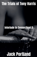 Interlude in Connecticut 3 B0GMV48CKP Book Cover