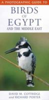 A Photographic Guide to Birds of Egypt and the Middle East 9774246179 Book Cover
