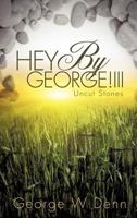 Hey by George!ii 1619966182 Book Cover