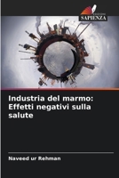 Industria del marmo: Effetti negativi sulla salute 6207344871 Book Cover