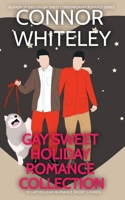 Gay Holiday Romance Short Story Collection: 10 Gay Sweet Holiday Romance Short Stories 1915551323 Book Cover