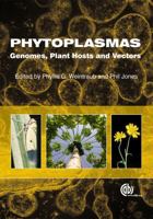 Phytoplasmas 1845935306 Book Cover