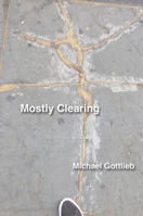 Mostly Clearing 1931824959 Book Cover