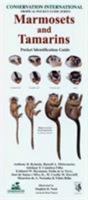 Marmosets and Tamarins: Pocket Identification Guide (Conservation International Pocket Guide Series) 1934151203 Book Cover