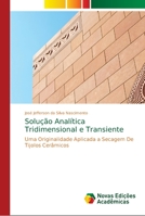 Solução Analítica Tridimensional e Transiente 6139690110 Book Cover