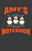 Amy's Notebook 1798025388 Book Cover