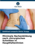Minimale Narbenbildung nach chirurgischen Schnitten in Hauptfaltenlinien (German Edition) 6207963121 Book Cover