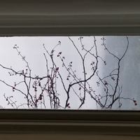 How to Make a Memoir Read Like a Novel: A Workbook Pamphlet 1959765043 Book Cover