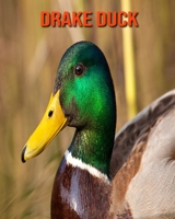 Drake Duck: Amazing Photos & Fun Facts Book About Drake Duck For Kids B095X2GV9B Book Cover