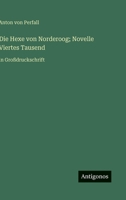 Die Hexe von Norderoog; Novelle Viertes Tausend: in Großdruckschrift (German Edition) 3563273332 Book Cover