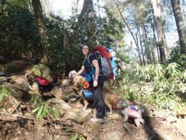 Girl (Hiking) with 4 Dogs 069288825X Book Cover