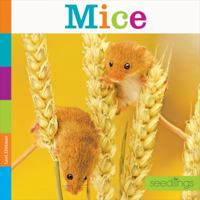 Mice (Seedlings) 1628325992 Book Cover