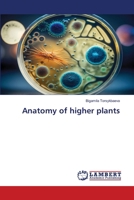 Anatomy of higher plants 6207653319 Book Cover